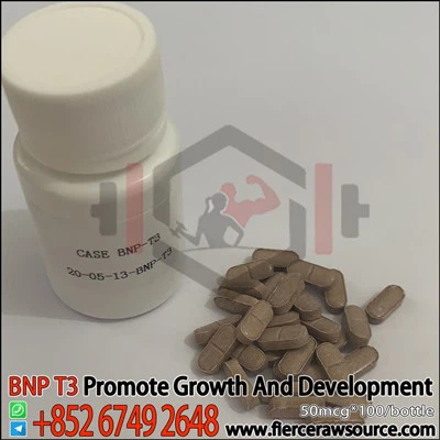 BNP T3 50mcg CAS: 6893-02-3