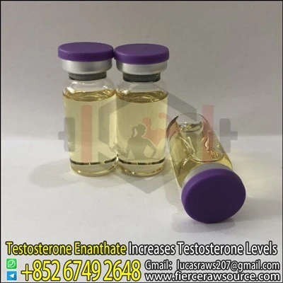 BNP Testosteron Enanthate 250mg CAS:315-37-7
