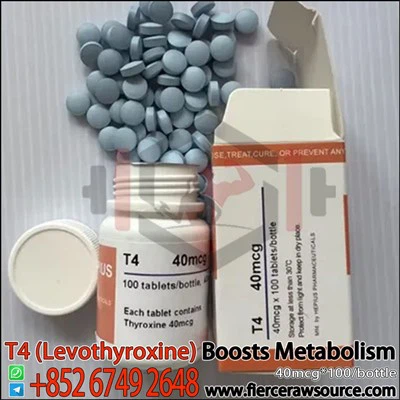 HEPIUS T4 (Levotiroksin) 40mcg CAS:51-48-9